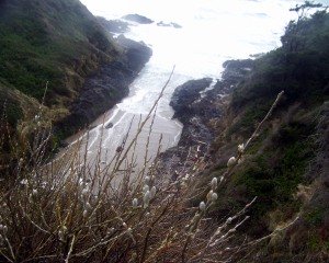 Cape Perpetua, Devil's Church - in Oregon