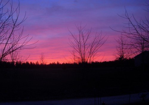 Sunrise at Rose Creek Village